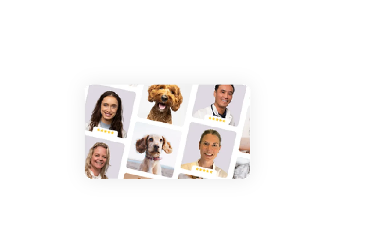 Nederlandse dierenartsen en honden uit de Yeera-community